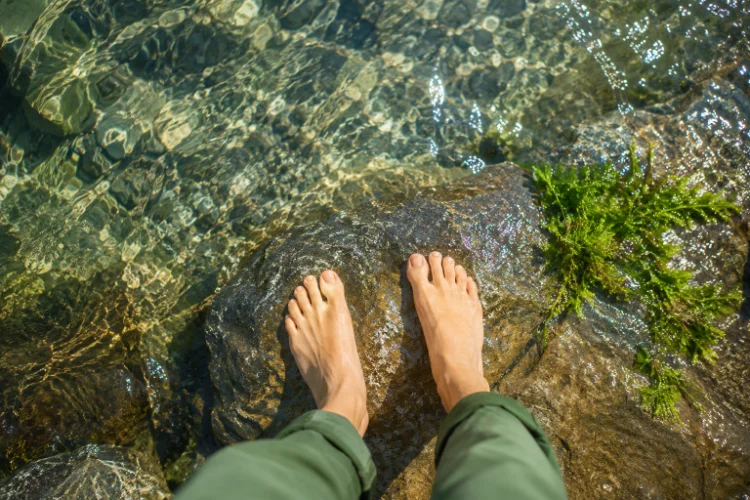 Bright water · feet on wet stone
